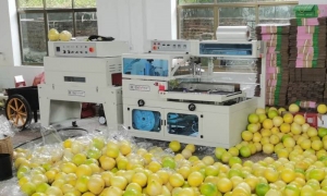 熱收縮膜包裝機(jī)十大品牌，2024熱收縮膜包裝機(jī)排行榜【品牌排名】